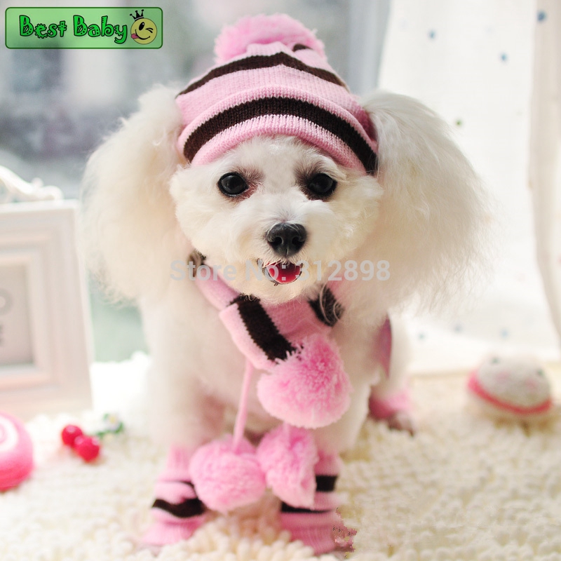 الشتاء الحيوانات الأليفة جرو ا - مراجعة Baby Products Best وسعره
